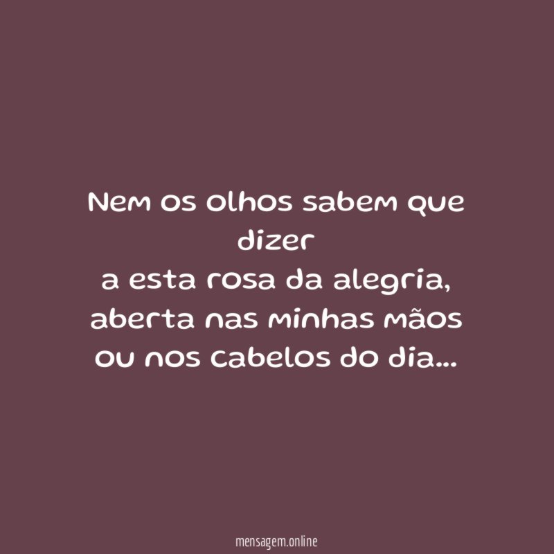Nem os olhos sabem que dizer a esta rosa da alegria