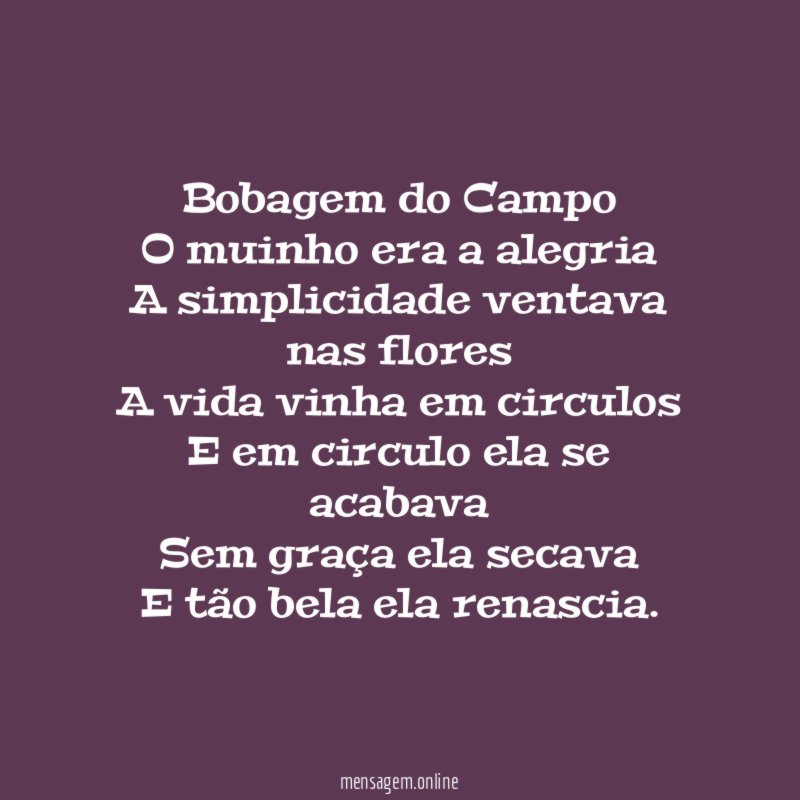 Bobagem do Campo