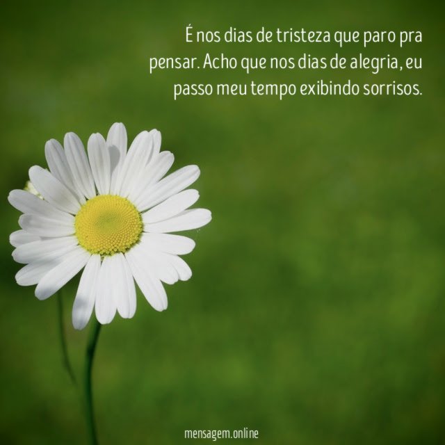 É nos dias de tristeza que paro pra pensar