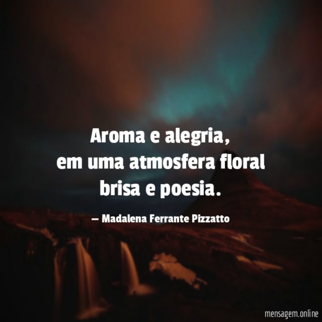 Aroma e alegria