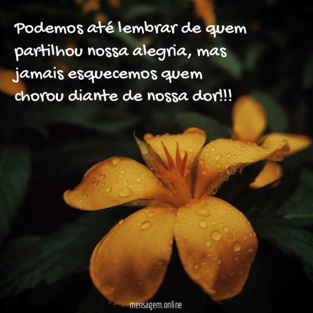 Podemos até lembrar de quem partilhou nossa alegria