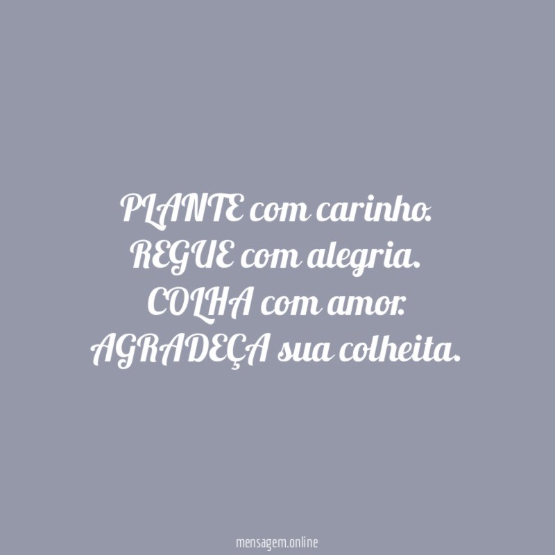 PLANTE com carinho