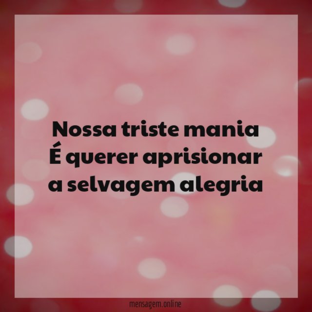 Nossa triste mania É querer aprisionar a selvagem alegria