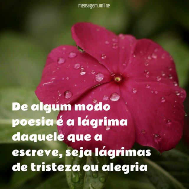 De algum modo poesia é a lágrima daquele que a escreve