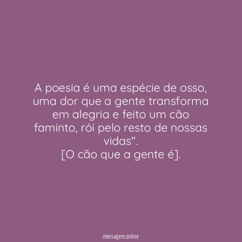 "A poesia é uma espécie de osso, uma dor que a gente transforma em alegria e feito um cão faminto, rói pelo resto de nossas vidas".