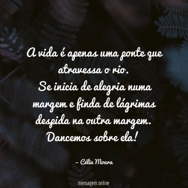 A vida é apenas uma ponte que atravessa o rio