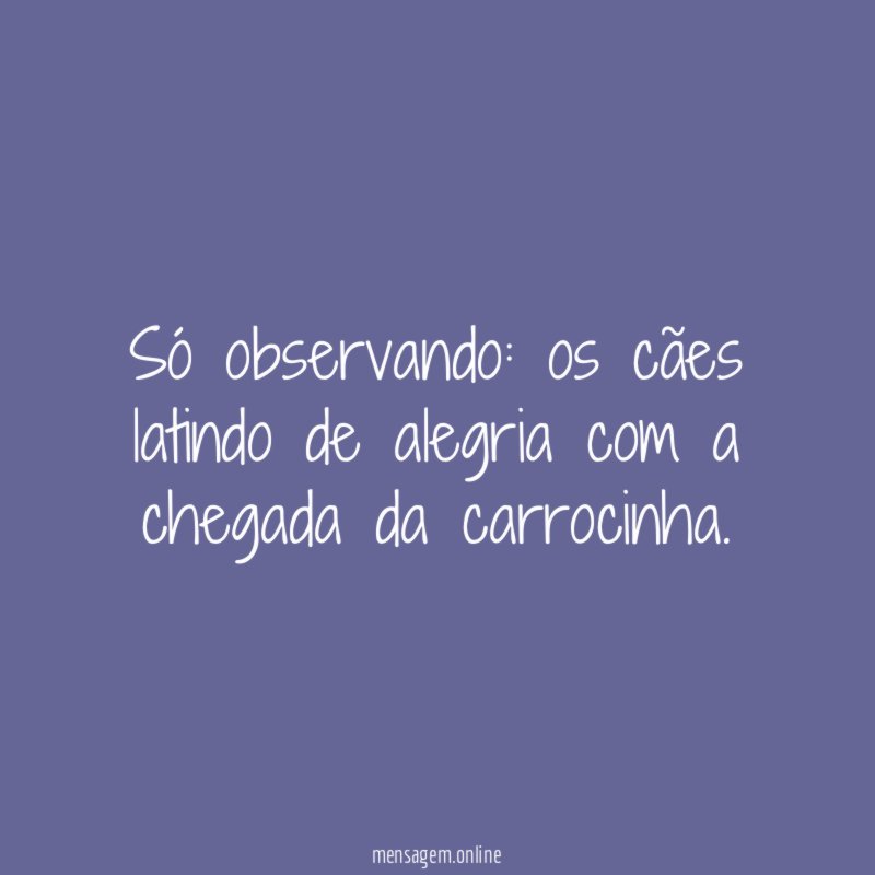 Só observando