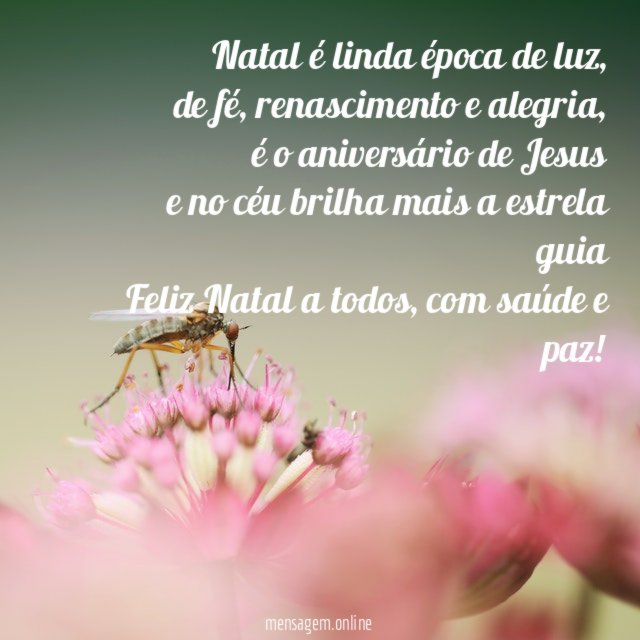 Natal é linda época de luz,
de fé, renascimento e alegria,
é o aniversário de Jesus
e no céu brilha mais a estrela guia
