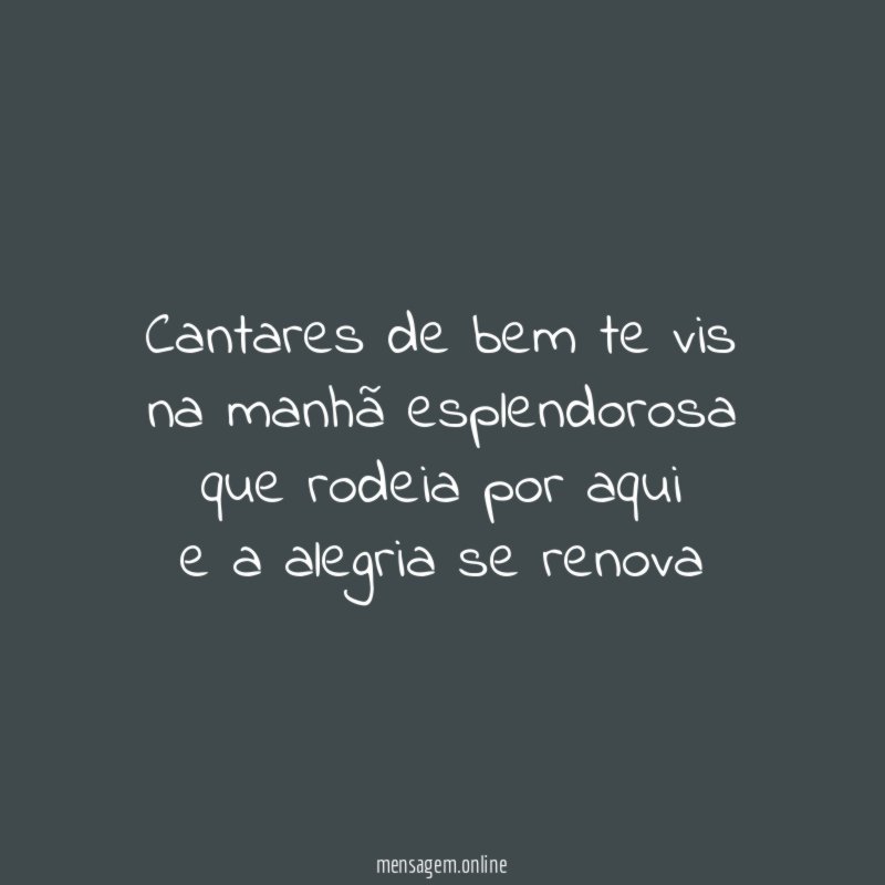 Cantares de bem te vis na manhã esplendorosa que rodeia