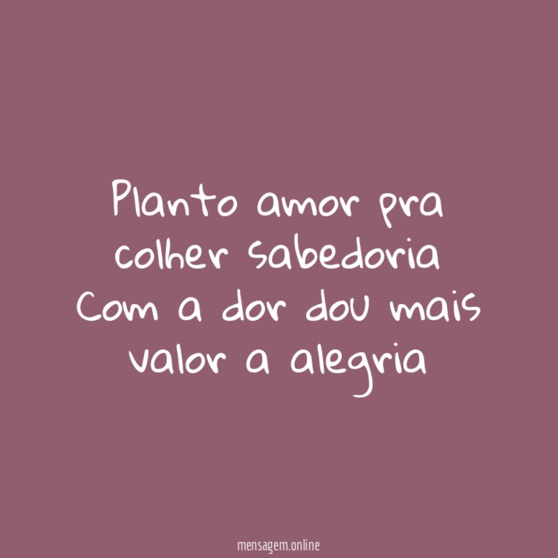 Planto amor pra colher sabedoria Com a dor dou