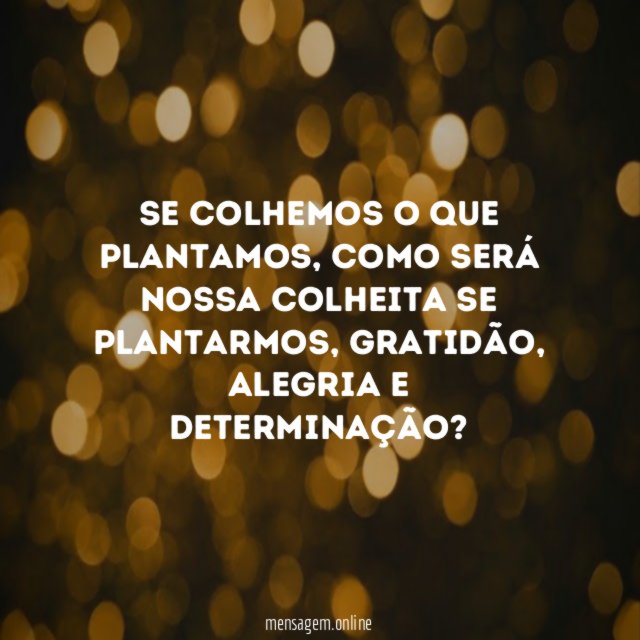 Se colhemos o que plantamos