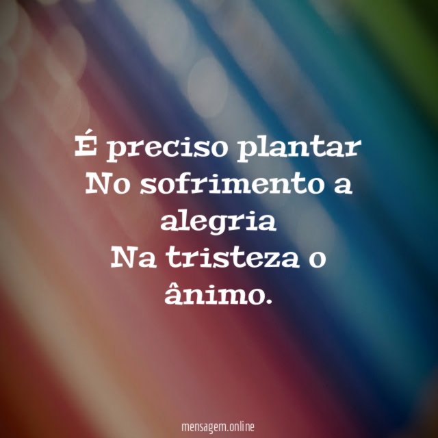É preciso plantar No sofrimento a alegria Na tristeza o ânimo