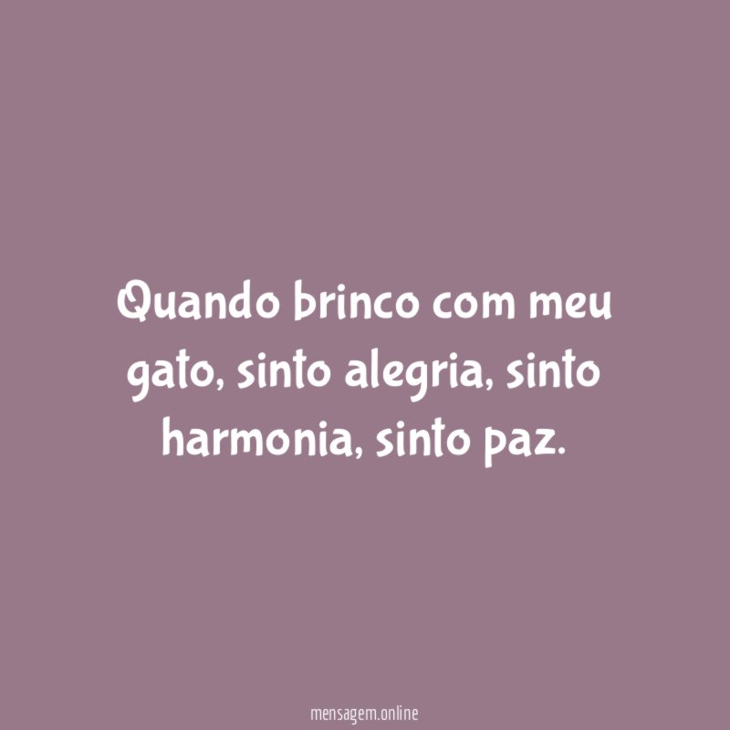 Quando brinco com meu gato
