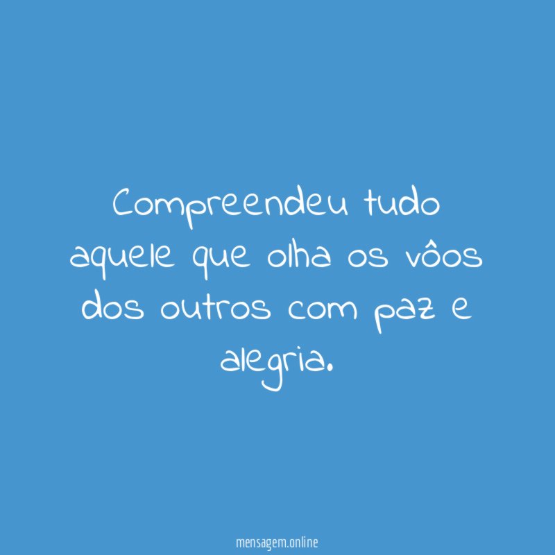 Compreendeu tudo aquele que olha os vôos dos