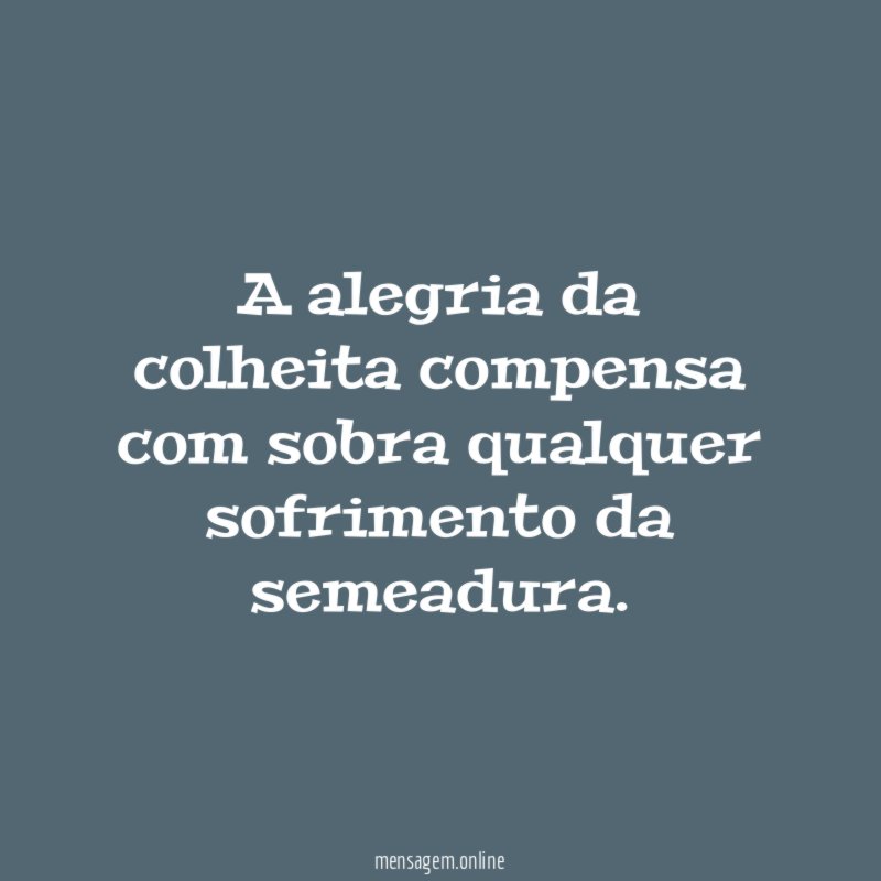 A alegria da colheita compensa com sobra qualquer sofrimento da semeadura