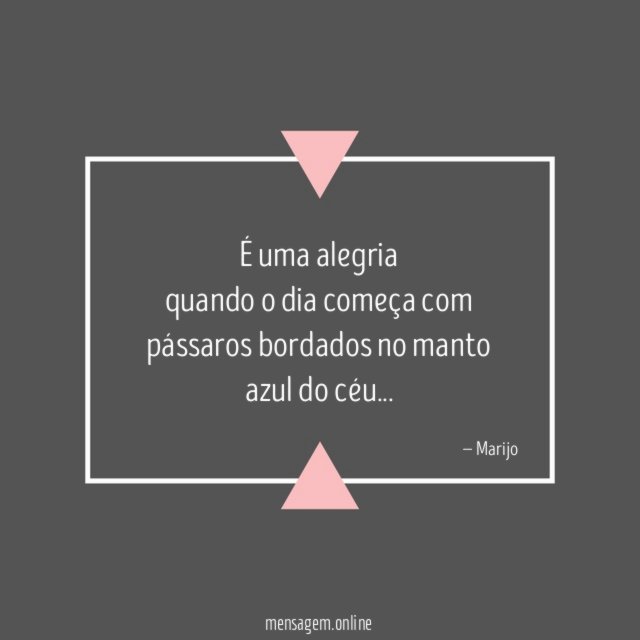 É uma alegria quando o dia começa com pássaros
