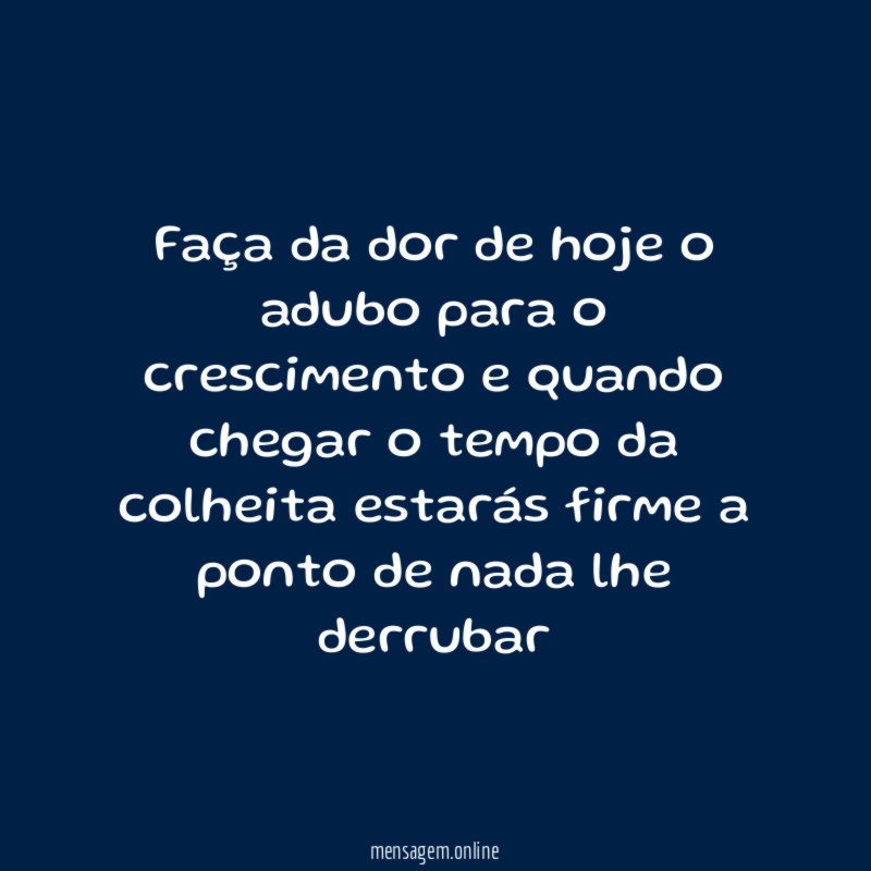 Faça da dor de hoje o adubo para