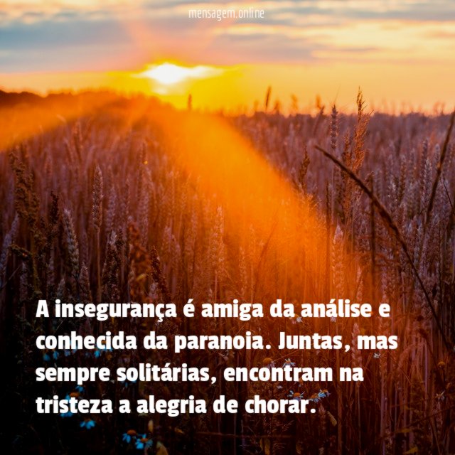 A insegurança é amiga da análise e conhecida da paranoia