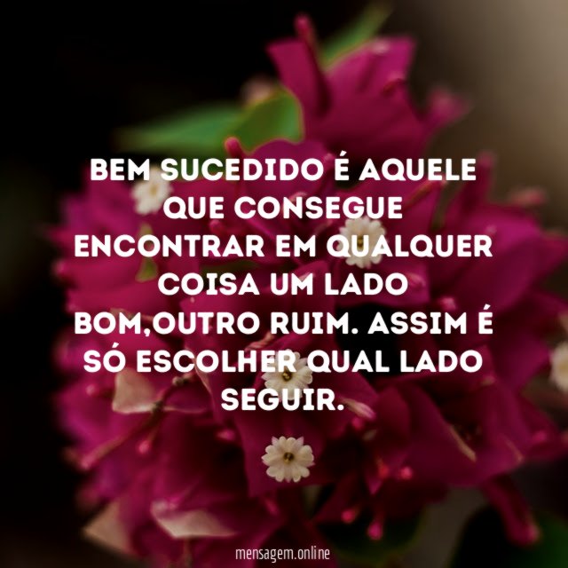 Bem sucedido é aquele que consegue encontrar em qualquer coisa um lado bom