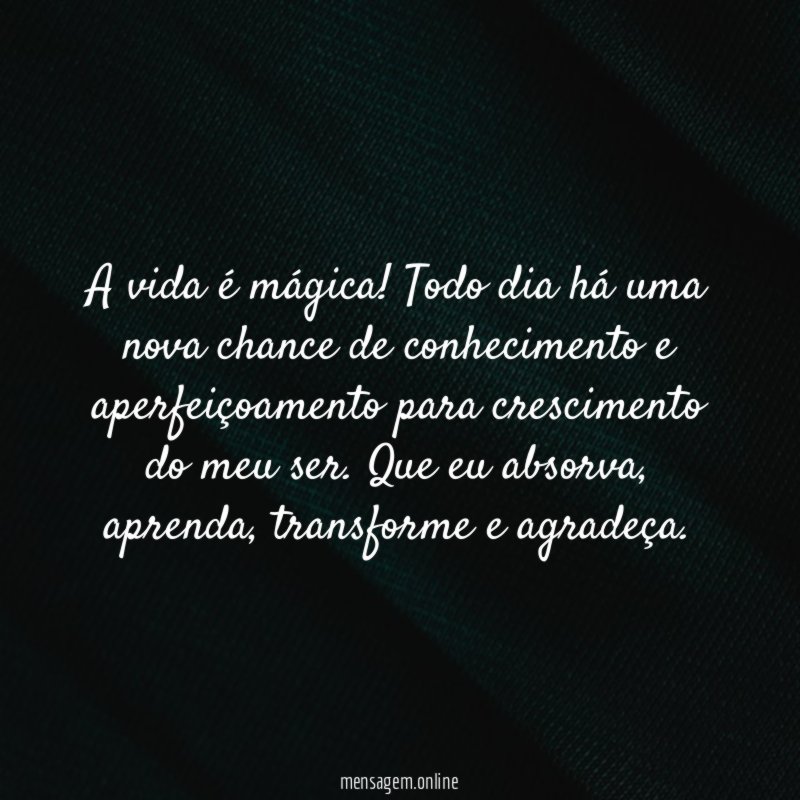 A vida é mágica