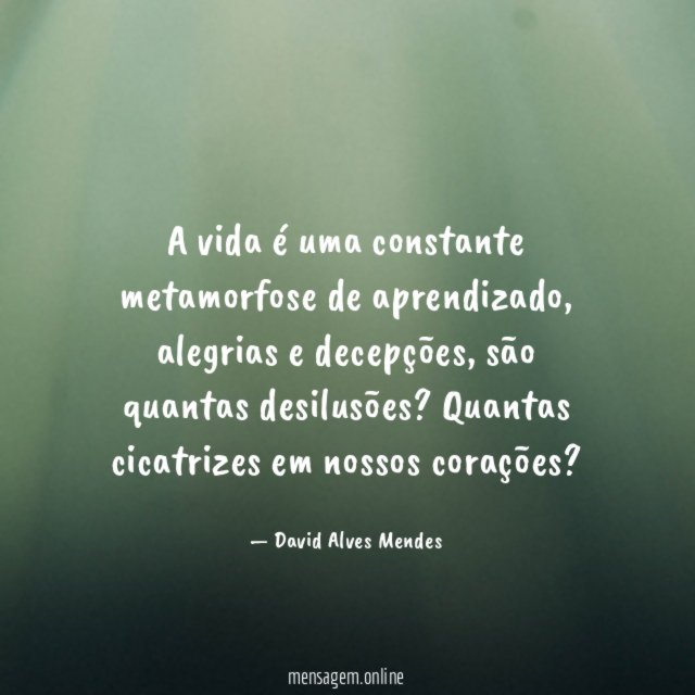 A vida é uma constante metamorfose de aprendizado