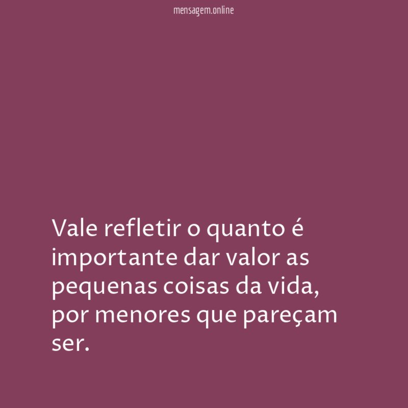 Vale refletir o quanto é importante dar valor as pequenas coisas da vida