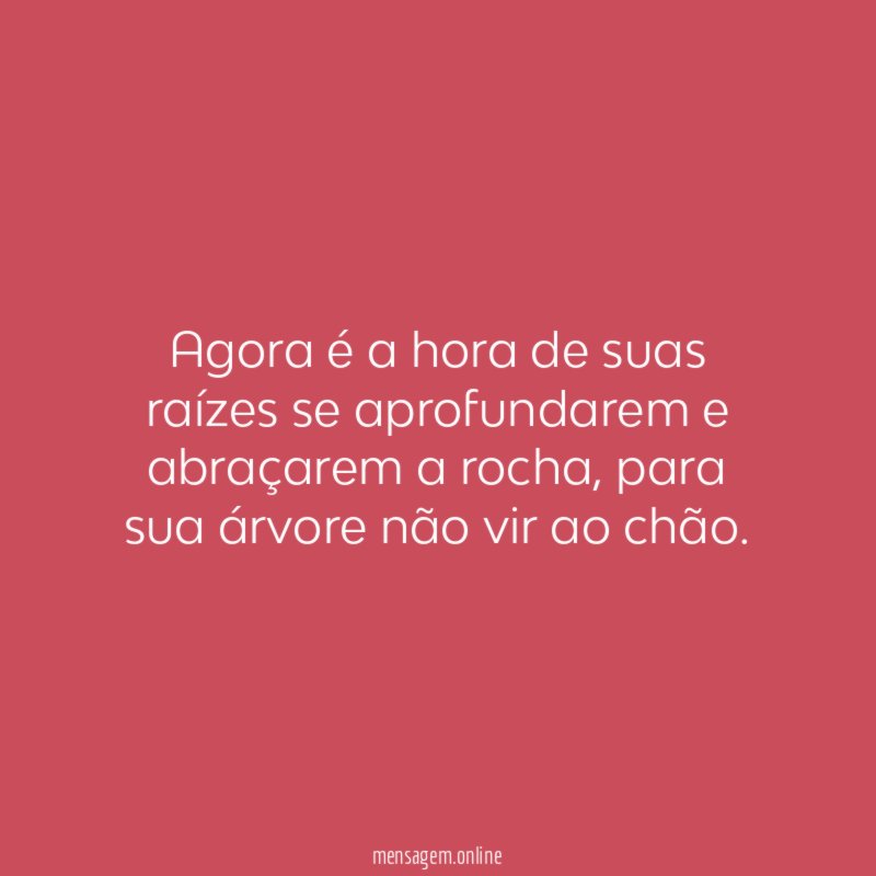 Agora é a hora de suas raízes se