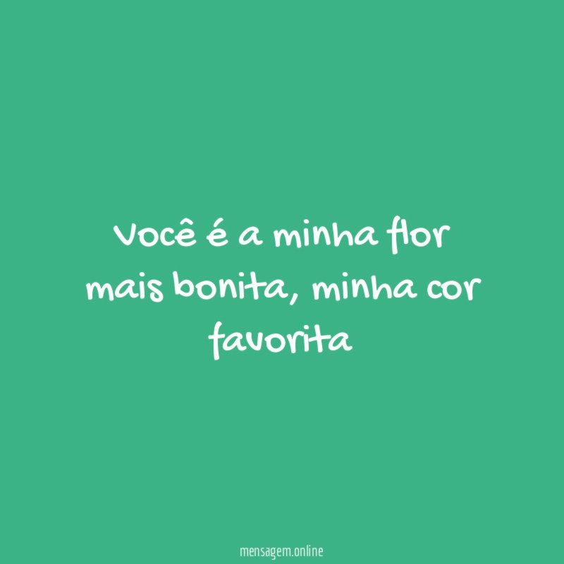 Você é a minha flor mais bonita