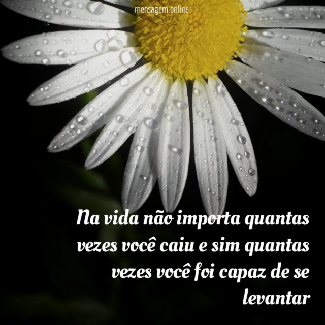 Na vida não importa quantas vezes você caiu