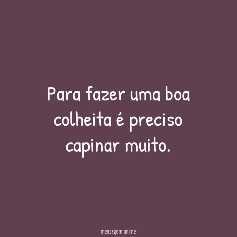 Para fazer uma boa colheita é preciso capinar muito