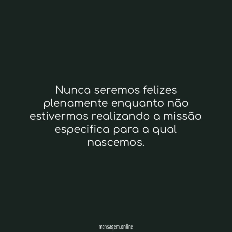 Nunca seremos felizes plenamente enquanto não estivermos realizando