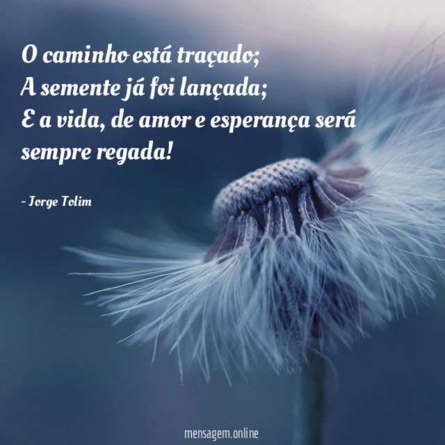 O caminho está traçado