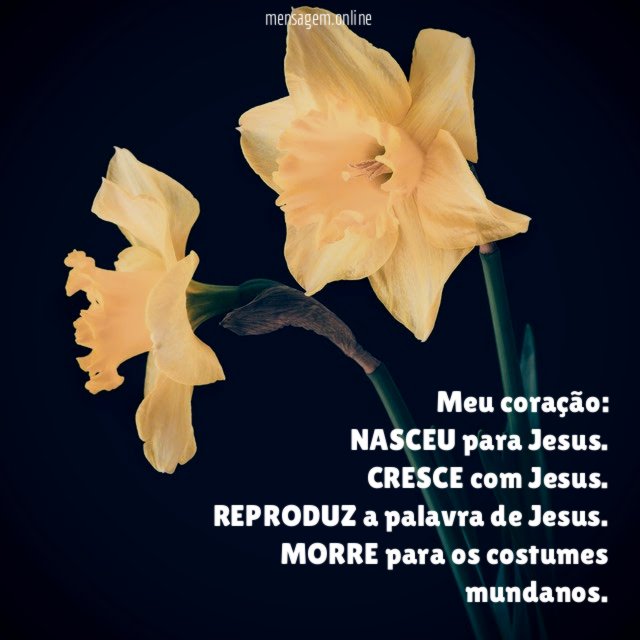 Meu coração