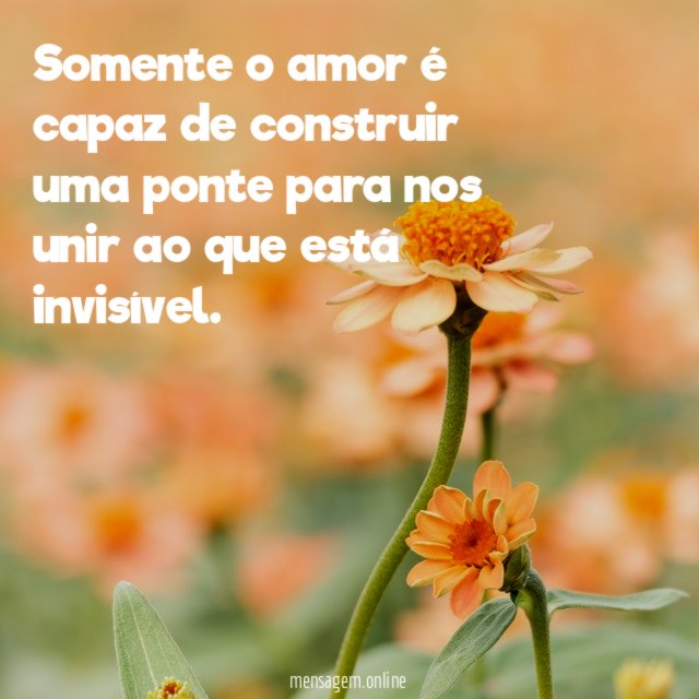 Somente o amor é capaz de construir uma