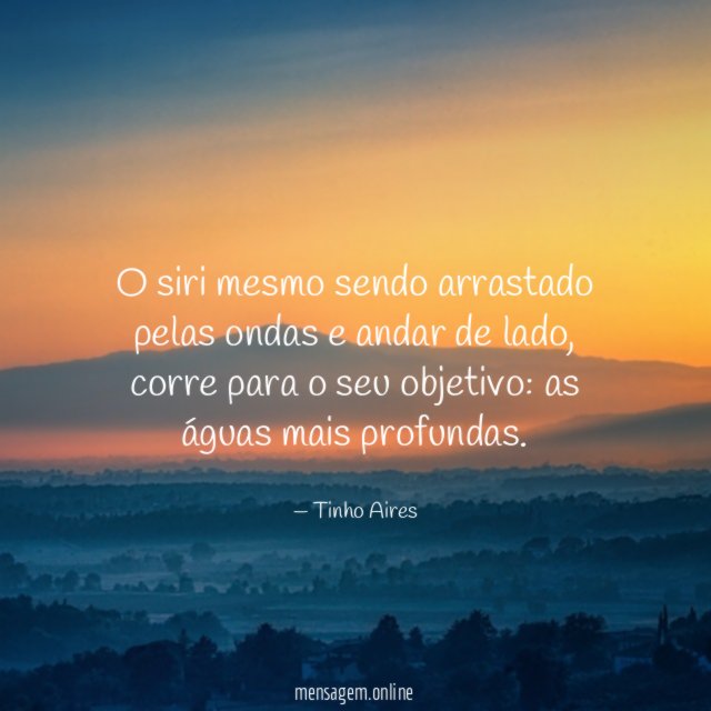 O siri mesmo sendo arrastado pelas ondas e andar de lado