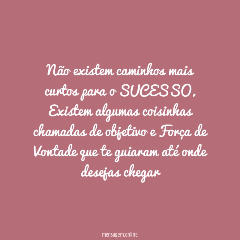 Não existem caminhos mais curtos para o SUCESSO