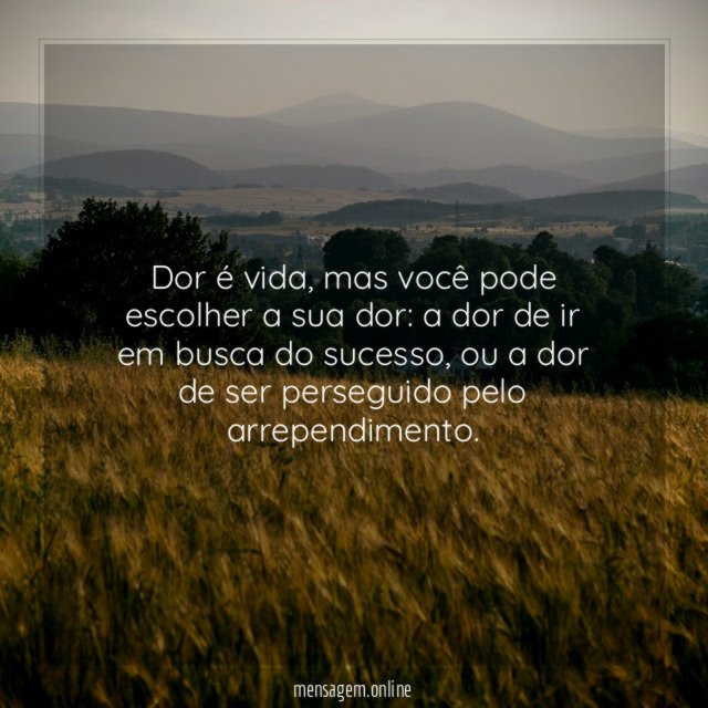 Dor é vida
