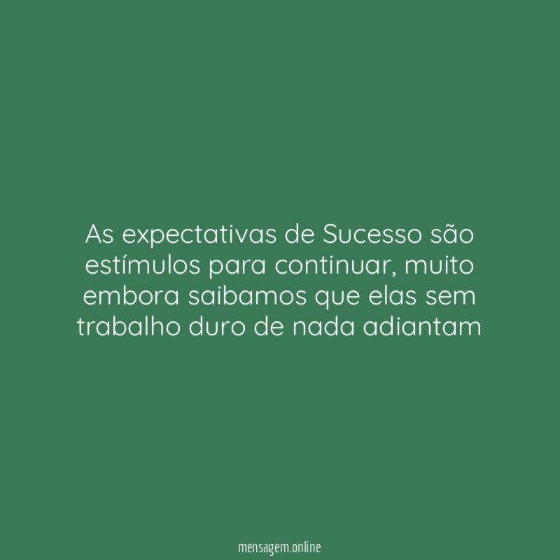 As expectativas de Sucesso são estímulos para continuar