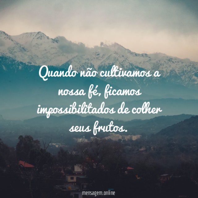 Quando não cultivamos a nossa fé