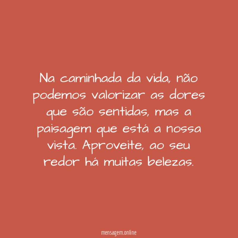 Na caminhada da vida