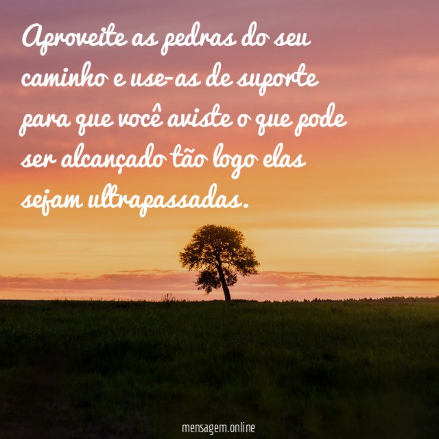 Aproveite as pedras do seu caminho e use-as