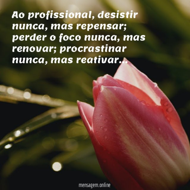 Ao profissional
