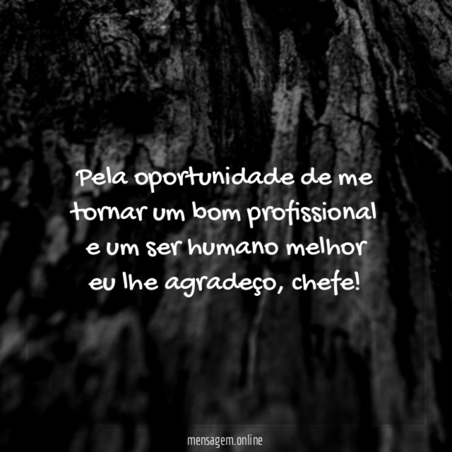 Agradeço pela oportunidade, chefe