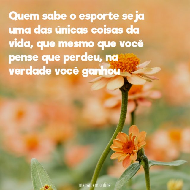 Quem sabe o esporte seja uma das únicas coisas da vida