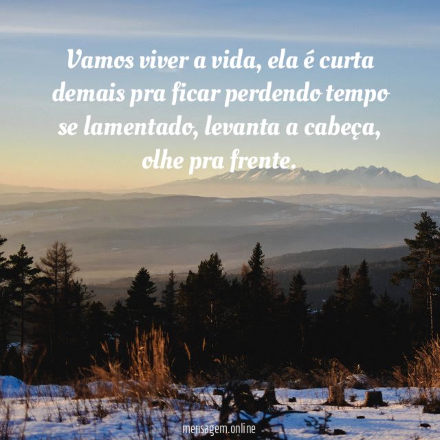 Vamos viver a vida