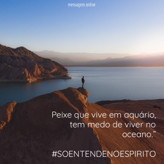 “Peixe que vive em aquário, tem medo de viver no oceano.”