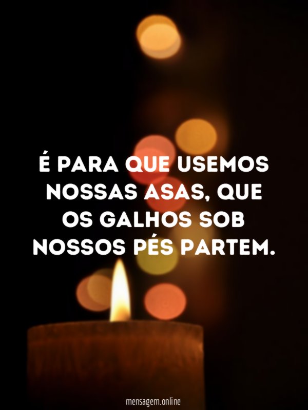 É para que usemos nossas asas