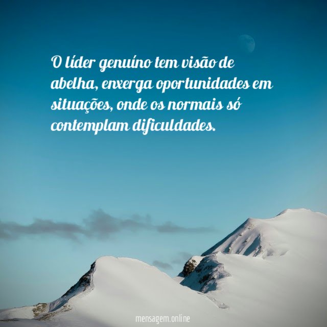 O líder genuíno tem visão de abelha