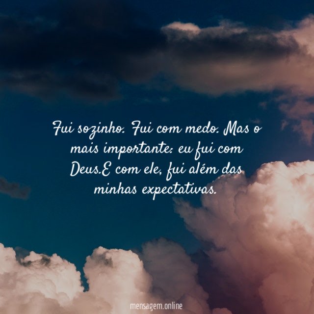 Fui sozinho