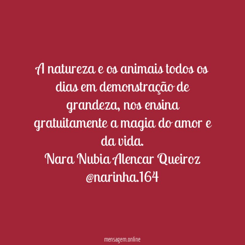 A natureza e os animais todos os dias